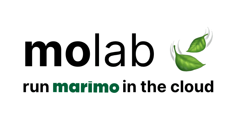 Announcing molab