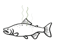 Dead Salmons of Interpretability