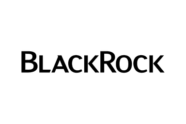 BlackRock BlackRock